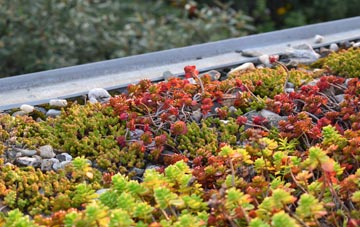 the cost of Blissford green roof installation