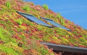 Blissford living roof systems